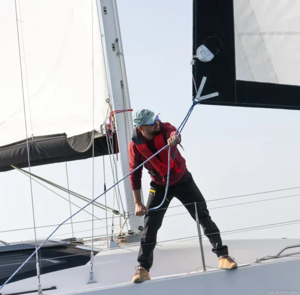 dziobowy trymuje foka